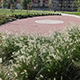 Il Giardino dei Giovani Artisti. Giardino pubblico urbano in Torino, v. Servais, c. Appio Claudio, v. P. Cossa (Torino) 2003-2007 
