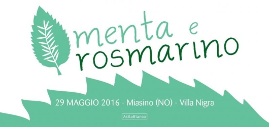 Menta_e_rosmarino_2016