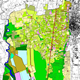 Piano di riqualificazione ambientale della collina di Bellinzago Bellinzago Novarese, elaborazione studio 2003